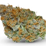 Jilly Bean Product image