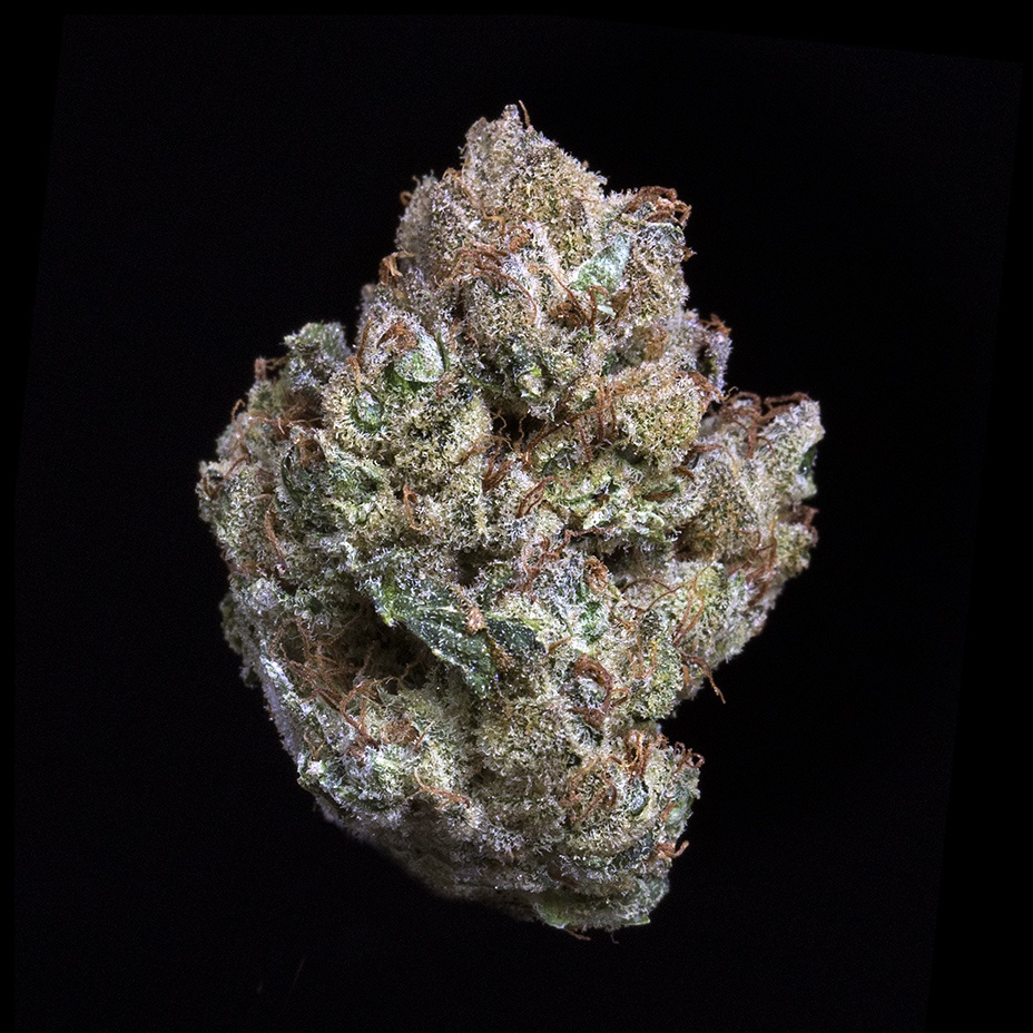 Lee Roy (AU Limit: 3.5g TOTAL Flower and 3.5g TOTAL Shake and 10 - 0.75 pre rolls / No Med Limit) Product image