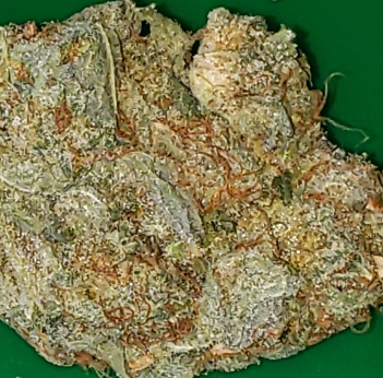 Lemon Skunk (FREE) Product image