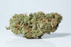 Lemon Skunk Product image