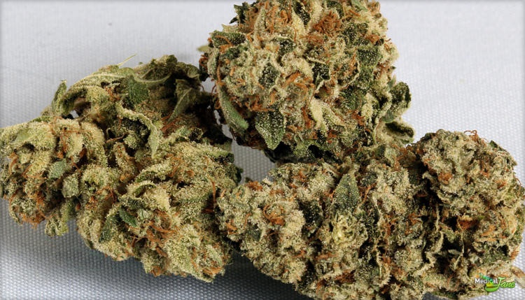 Marathon OG Product image