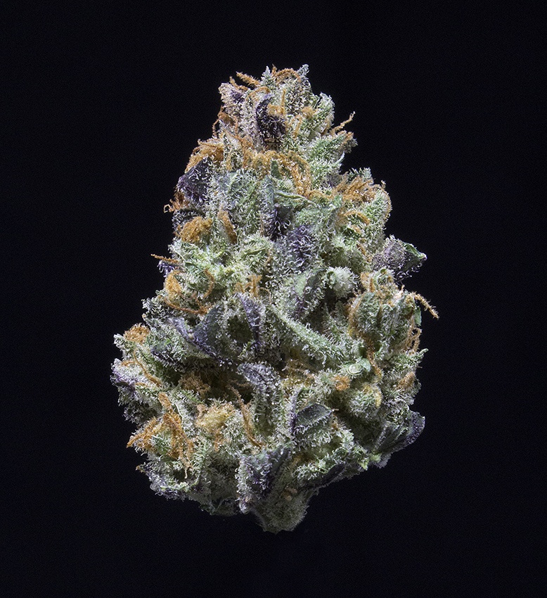 Master Kush (AU Limit: 3.5g TOTAL flower / No Med Limit) Product image