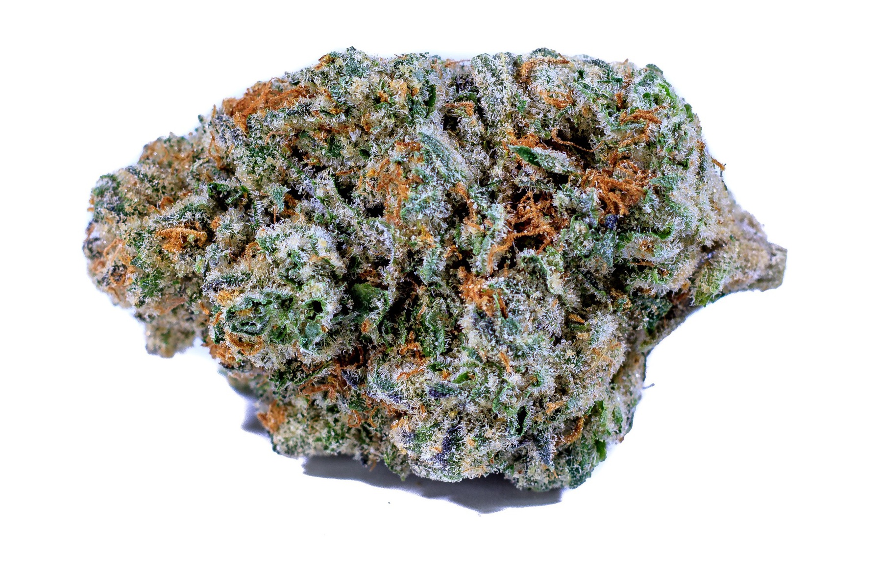 Mimosa Product image