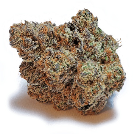 Mimosa Product image