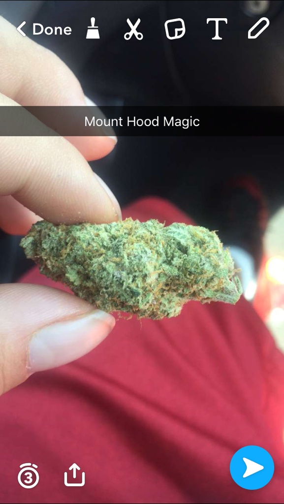 Mt Hood Og (donation) Product image