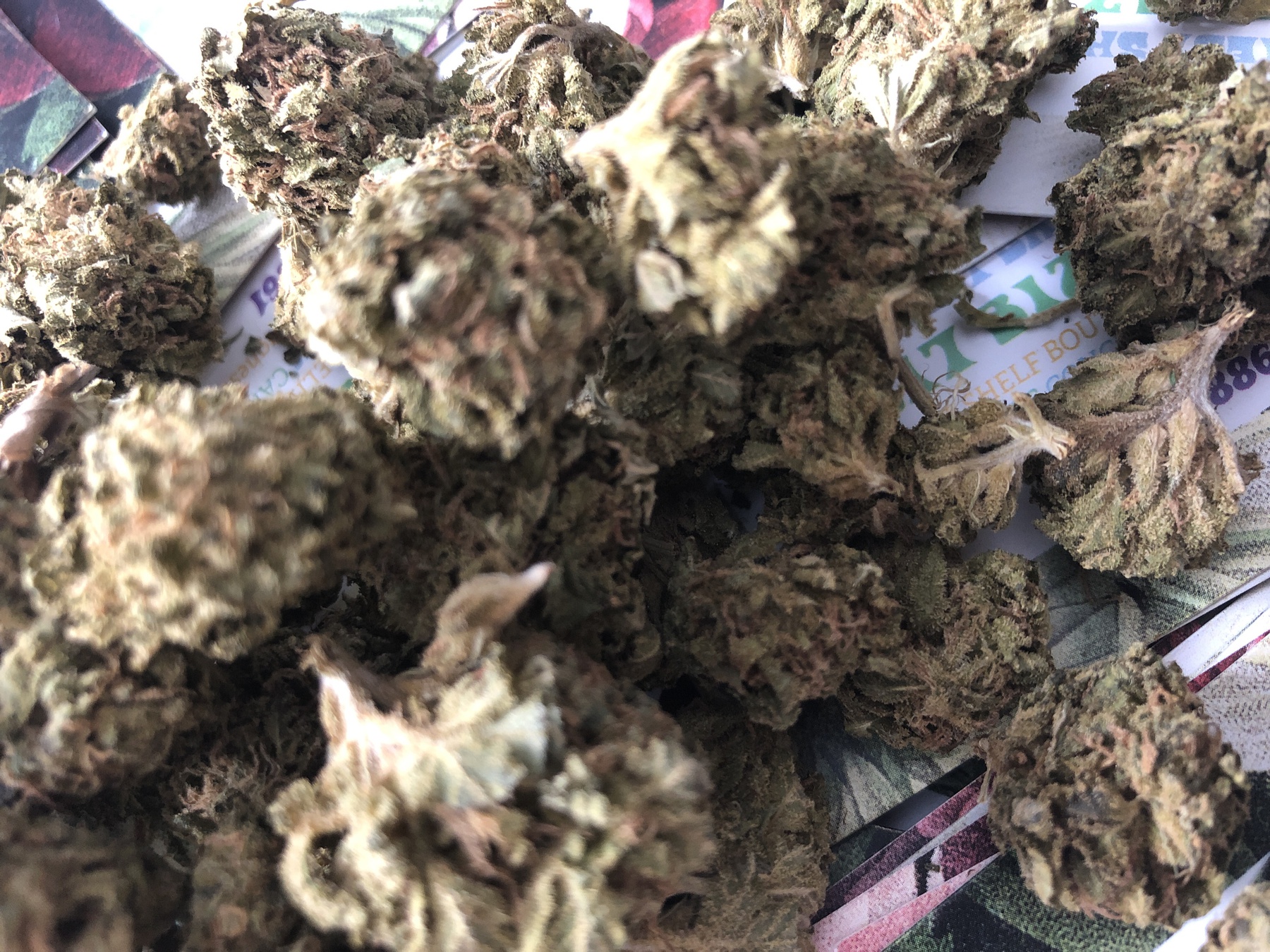 Northern Lights Product image