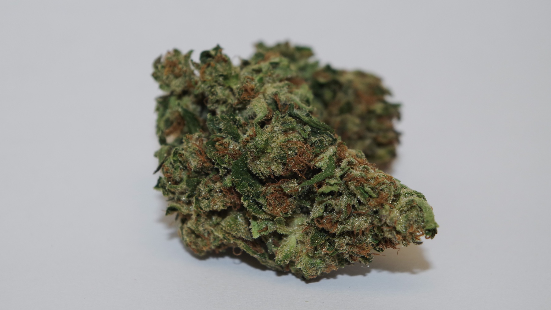 Primo Brainwreck Product image