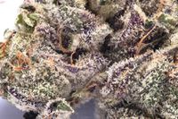 Purple Chemdawg Product image