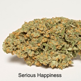 Serious Happiness Product image