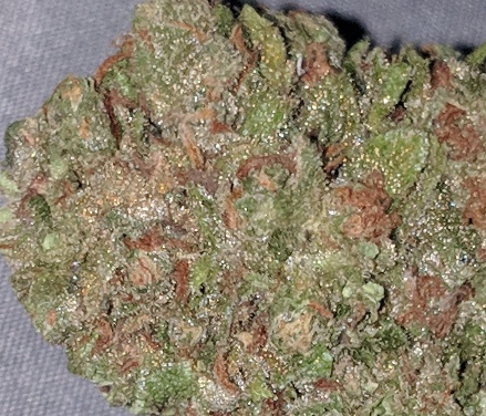 Sherbert (FREE) Product image