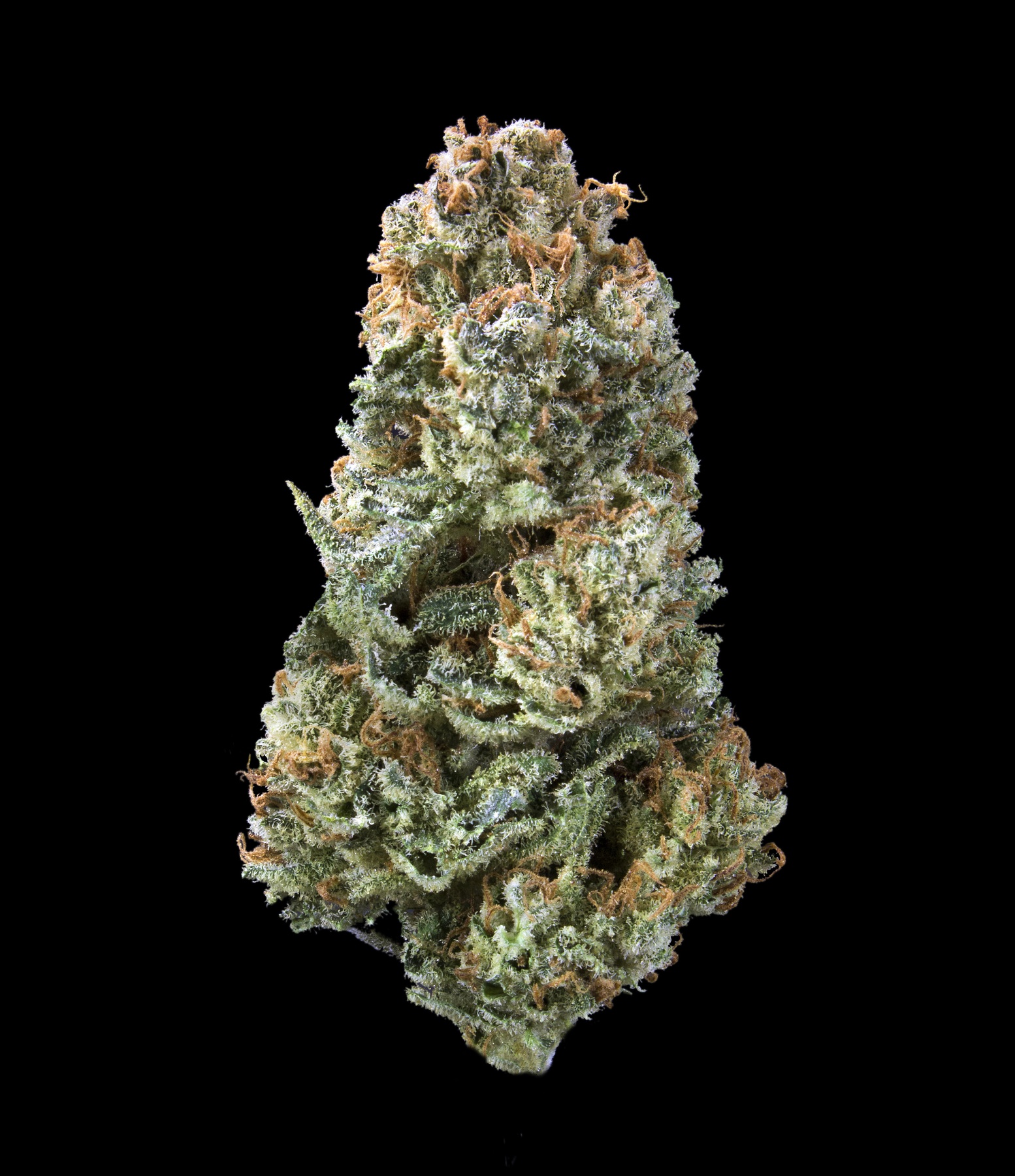 Sour Tsunami x Cataract Kush (Medical Only) Product image