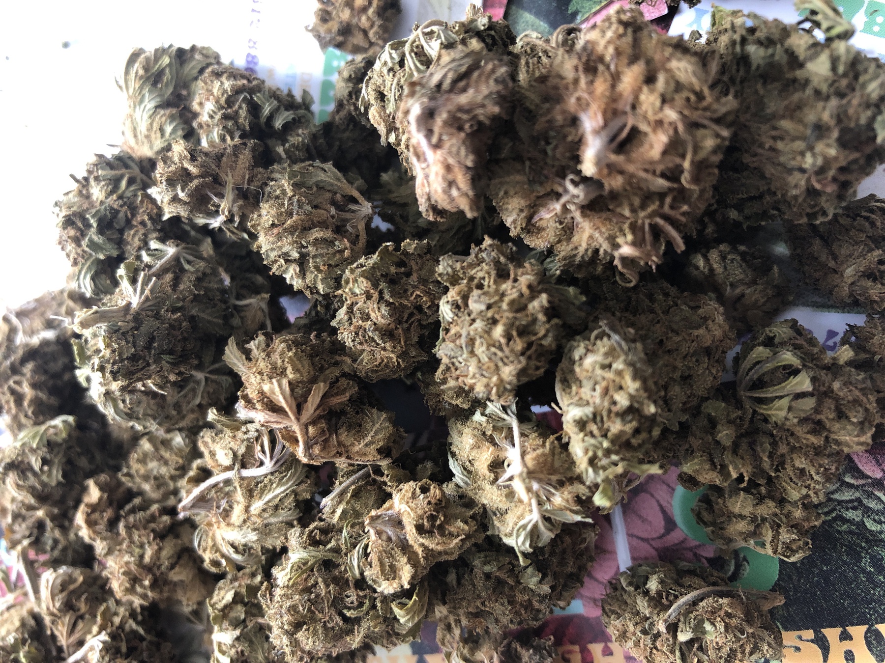 Super Snowdawg Product image