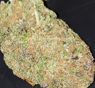 Tahoe Cookies (FREE) Product image