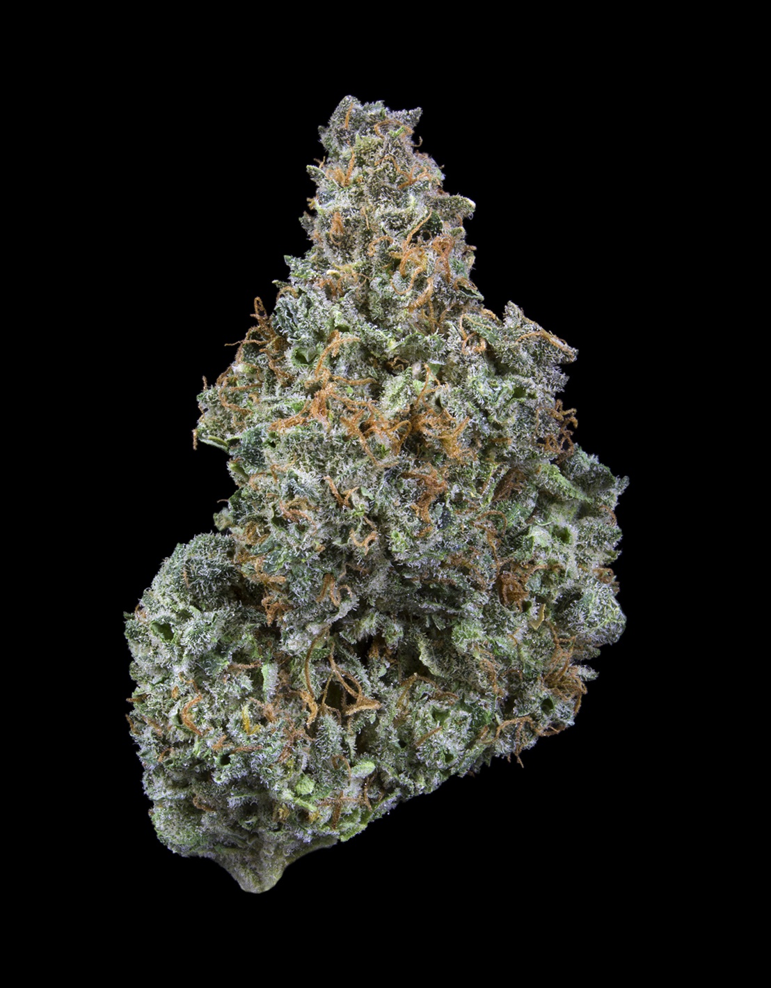 Tangerine Haze (AU Limit: 3.5g Flower and 3.5g Shake and 10 - 0.75 pre rolls / No Med Limit) Product image