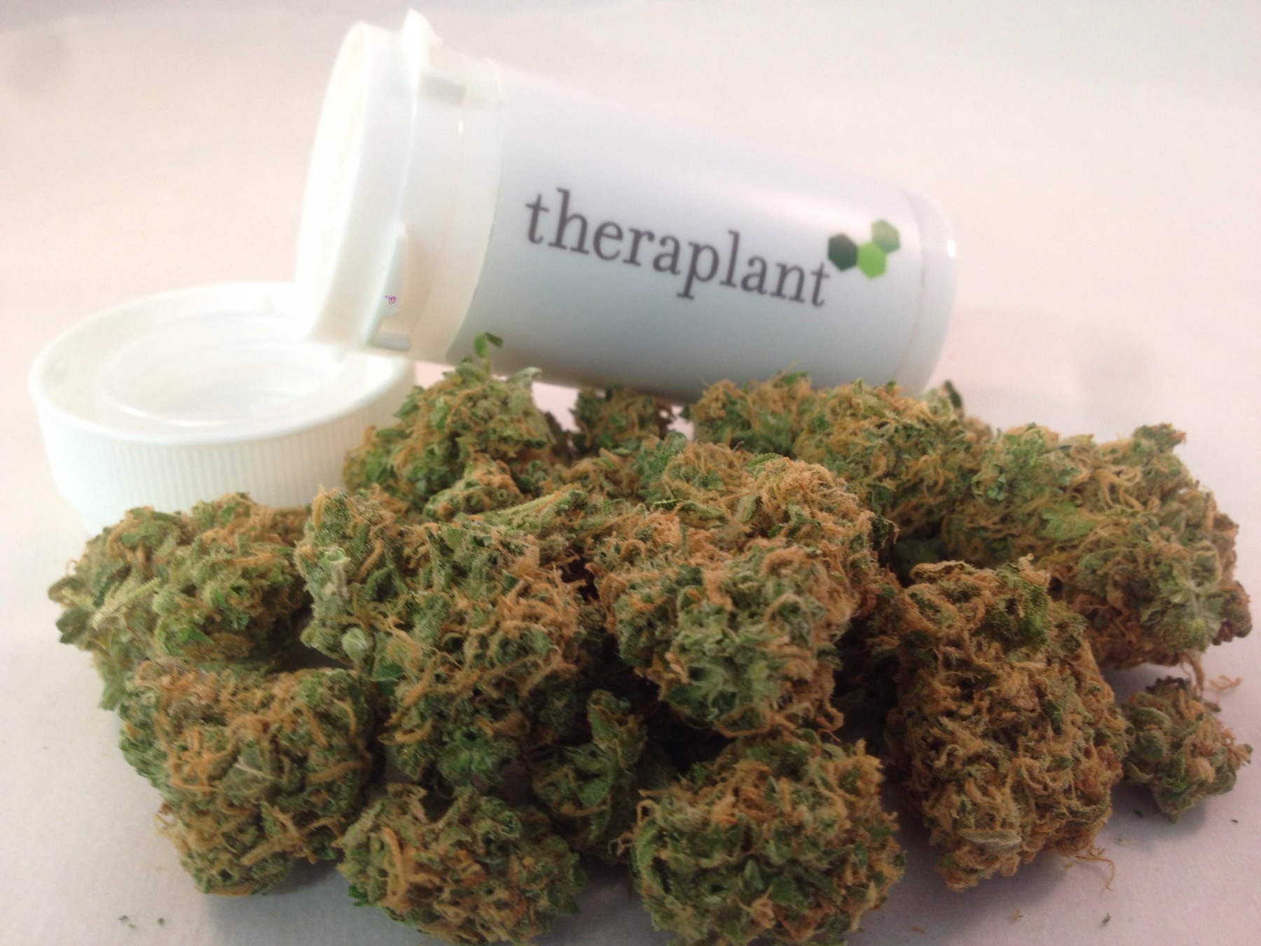 Theraplant 15033 Product image