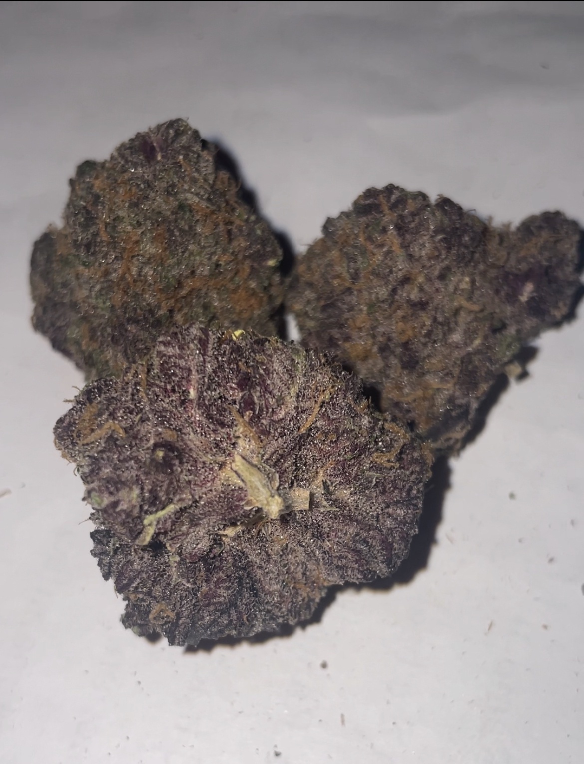 Trufflez The Higher Care Group AllBud