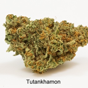 Tutankhamon Product image