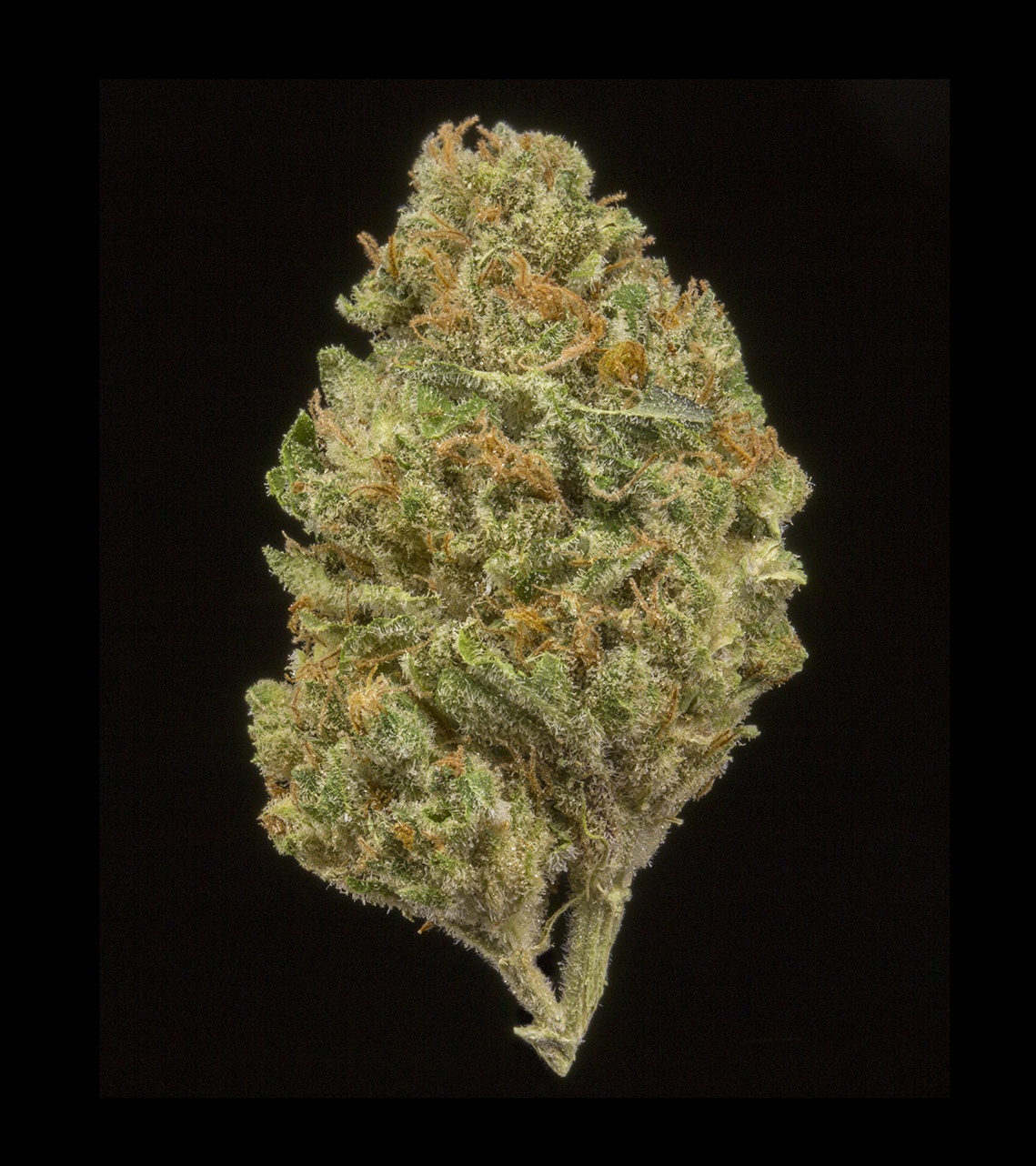 Walker Kush (AU Limit: 3.5g Flower and 3.5g Shake and 10 - 0.75 pre rolls / No Med Limit) Product image