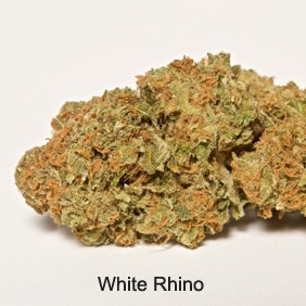 White Rhino Product image