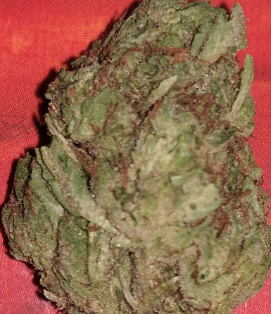 White Tahoe Cookie (FREE) Product image
