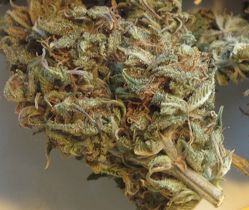 White Widow Product image