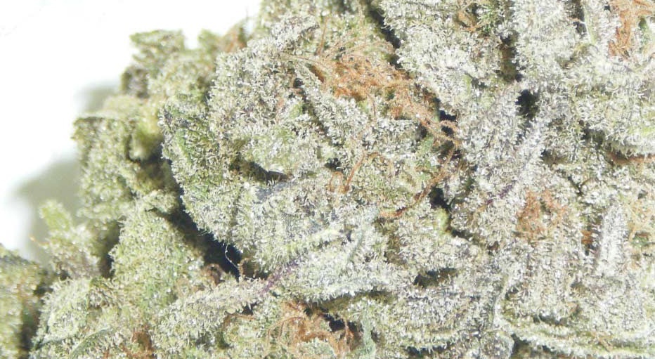 Afgooey Product image