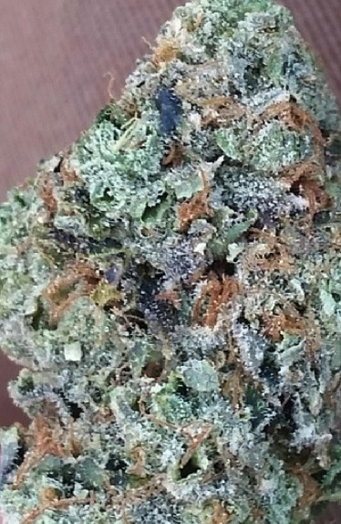 Albert Walker archive 1