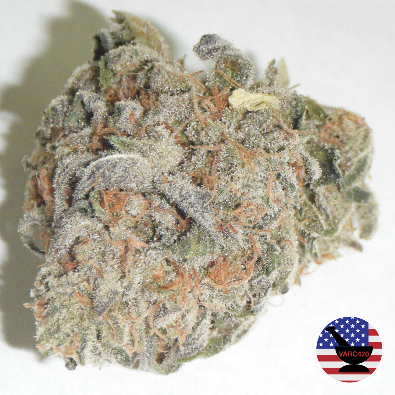 Alien Grapevine archive 1