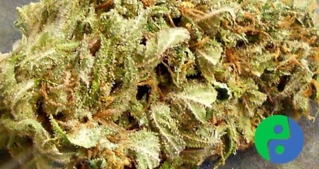Berry Haze Product image