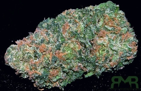 Big Buddha Cheese harvested flower, as labeled by the cited photo source
