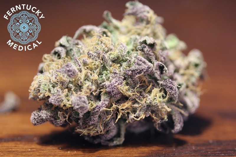 Thin Mint Girl Scout Cookies Marijuana Strain Reviews AllBud