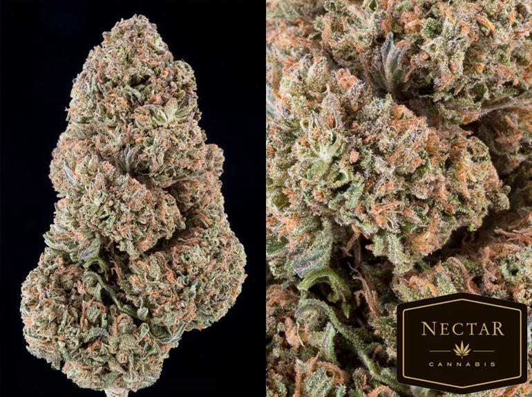 Cherry Frost Marijuana Strain Information & Reviews AllBud