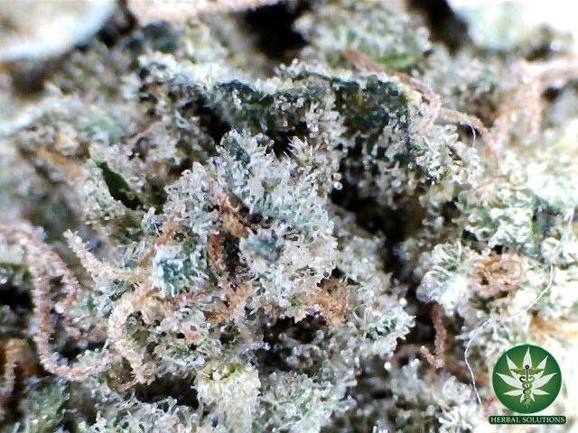 Chocolope Product image