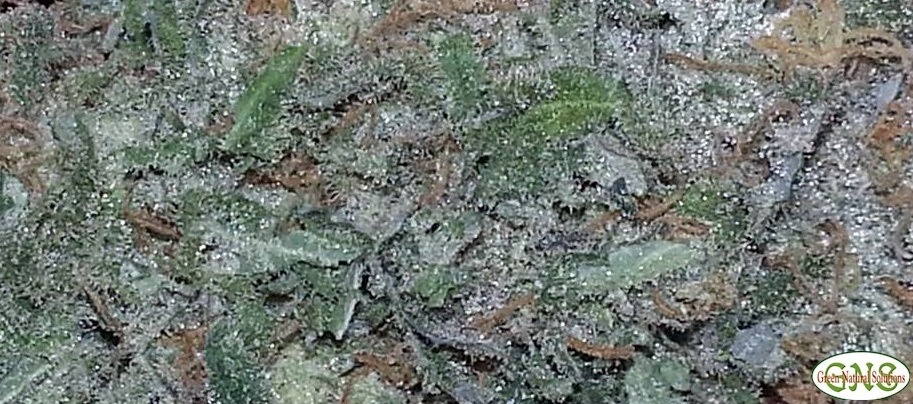 Cindirella's Dream Product image