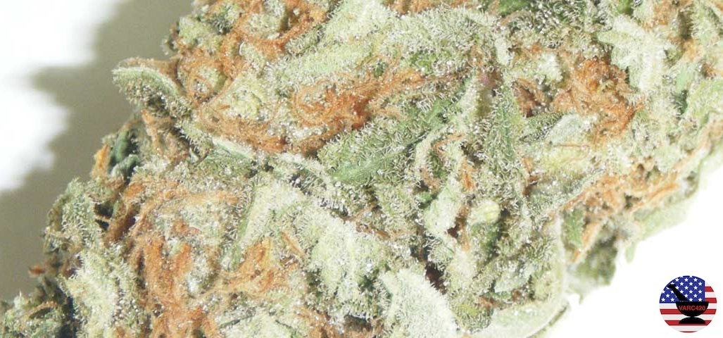 Fruity Chronic Juice