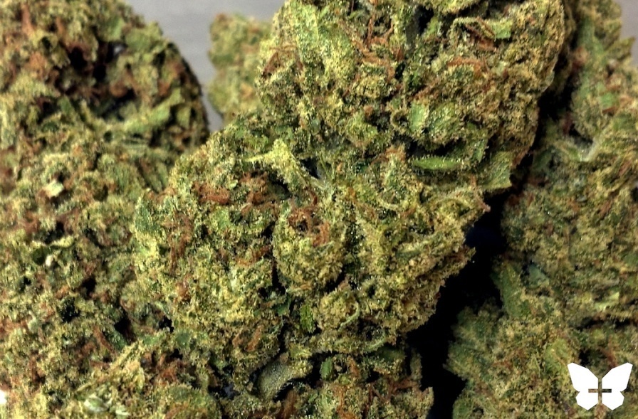 J1 Product image