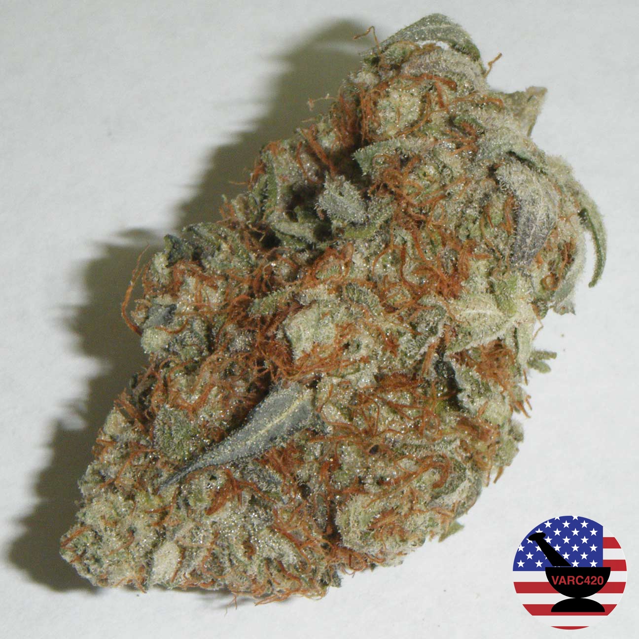 Lemon Alien Dawg Marijuana Strain Information & Reviews AllBud