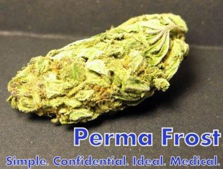 Perma Frost Marijuana Strain Information & Reviews AllBud