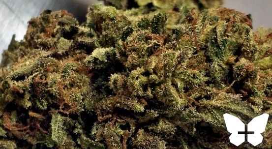 Shishkaberry archive 0