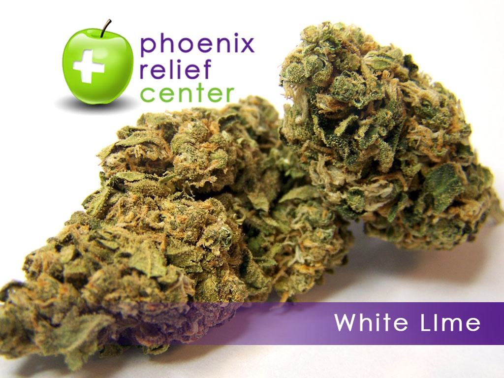 White Lime Marijuana Strain Information & Reviews AllBud