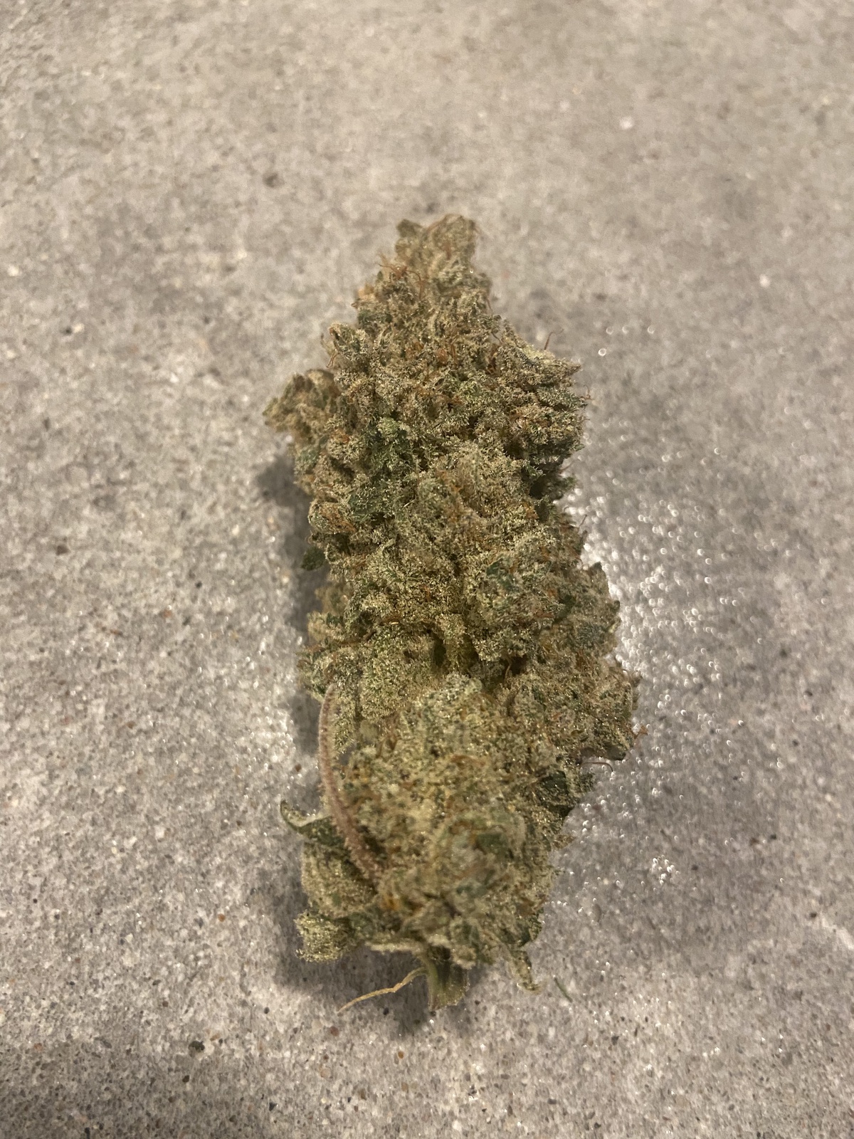 10th Planet archive 2