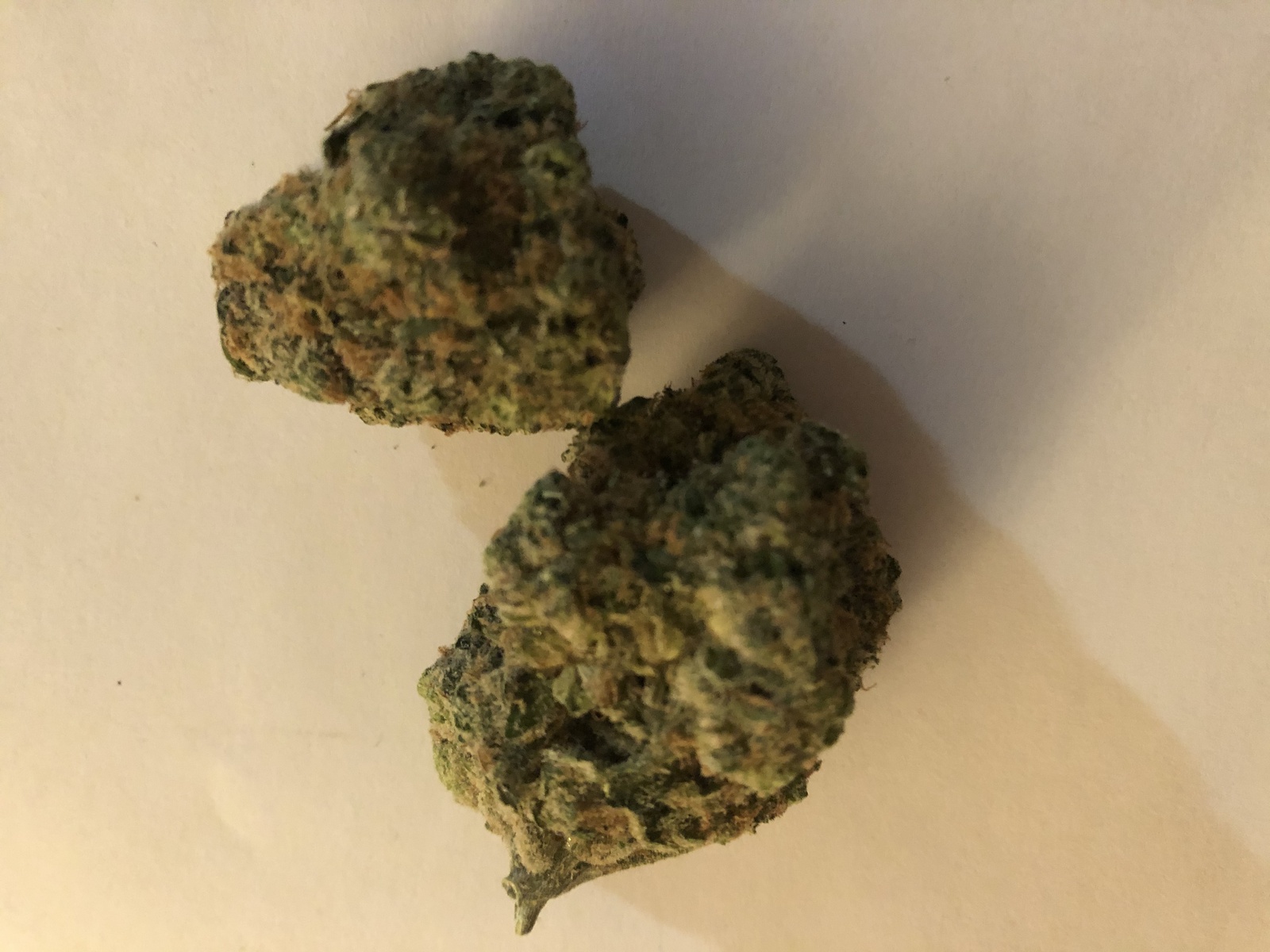 24K Tangie archive 1