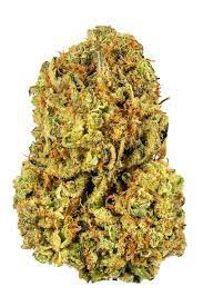 303 Diesel archive 1