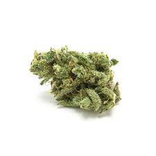 60 Day Wonder archive 2