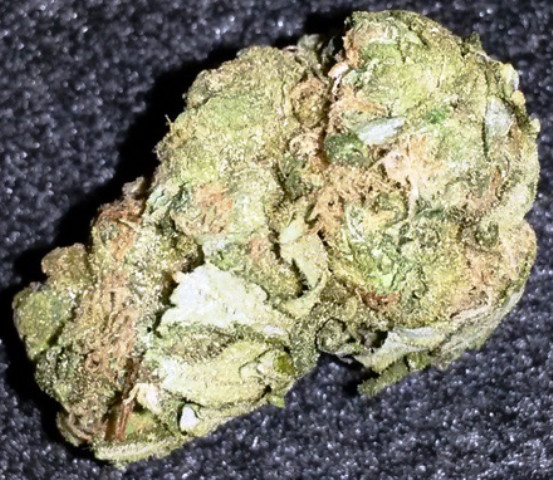 710 Cheese archive 1