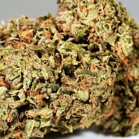 98 Lemon Haze Marijuana Strain Information & Reviews | AllBud