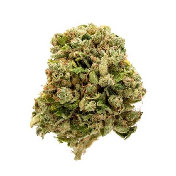 Acid Reign archive 1