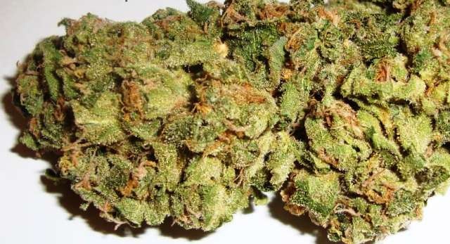 Afgani Skunk archive 1