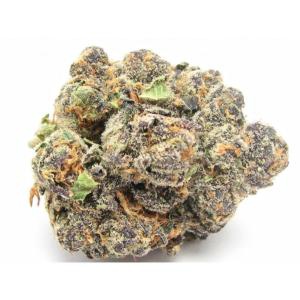 Afghan Abusive archive 1