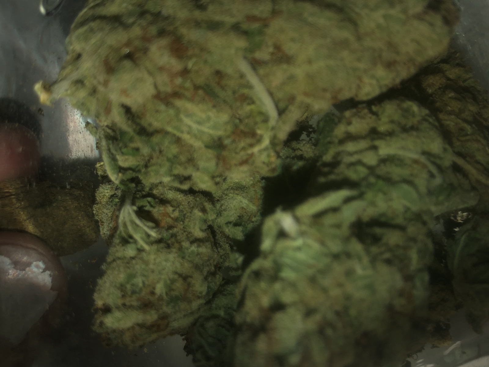 Afghan Haze archive 1